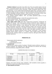 Verslo planas: muzikinis klubas "Už grotų" 4 puslapis