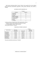 Verslo planas: muzikinis klubas "Už grotų" 5 puslapis