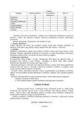 Verslo planas: muzikinis klubas "Už grotų" 6 puslapis