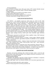 Verslo planas: muzikinis klubas "Už grotų" 8 puslapis