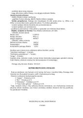 Verslo planas: muzikinis klubas "Už grotų" 9 puslapis