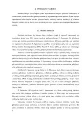 Referatas: Intelektas 5 puslapis