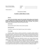 Laboratorinis darbas. Dyzelinio variklio šildymo žvakės