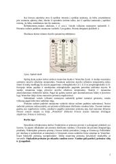 Automobilio techninių skysčių būklės tikrinimas optiniu  refraktometru 2 puslapis