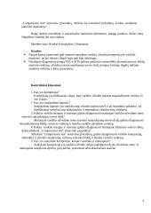 Laboratorinis darbas. Akumuliatorius, starteris, santykinė kompresija 3 puslapis