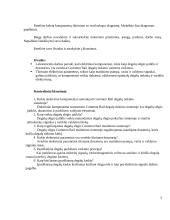 Common Rail degalų tiekimo sistemos elektrinių komponentų tikrinimas 5 puslapis