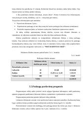 Verslo planas: patalpų ir teritorijų kasdieninis valymas UAB "Spindinti švara" 19 puslapis