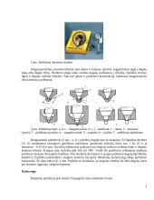Mechaninių dyzelinių purkštuvų diagnostika 2 puslapis