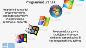 Programinės įrangos įvairovė 2 puslapis