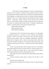 Verslo planas: prekyba kompiuteriais ir kompiuterių priedais UAB "Fortakas" 2 puslapis