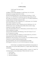 Verslo planas: prekyba kompiuteriais ir kompiuterių priedais UAB "Fortakas" 6 puslapis