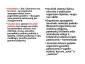 Limfinė sistema, kraujo gamybos ir imuninės apsaugos organai  13 puslapis