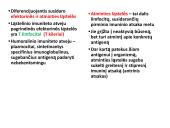 Limfinė sistema, kraujo gamybos ir imuninės apsaugos organai  19 puslapis