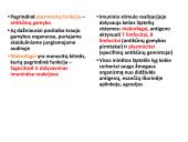 Limfinė sistema, kraujo gamybos ir imuninės apsaugos organai  20 puslapis