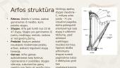 Arfa 4 puslapis