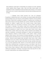 Dramaturgo Stanislaw Ignacy Witikiewicz „Batsiuviai“ spektaklio recenzija 4 puslapis
