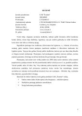 Verslo planas: skalbykla UAB "Švarūnė" 2 puslapis