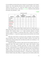 Verslo planas: skalbykla UAB "Švarūnė" 11 puslapis