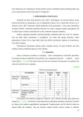 Verslo planas: skalbykla UAB "Švarūnė" 12 puslapis