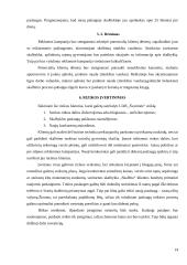 Verslo planas: skalbykla UAB "Švarūnė" 13 puslapis