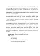 Verslo planas: skalbykla UAB "Švarūnė" 3 puslapis