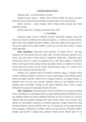 Verslo planas: skalbykla UAB "Švarūnė" 4 puslapis