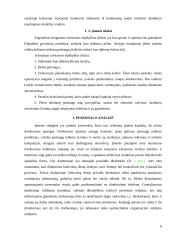 Verslo planas: skalbykla UAB "Švarūnė" 5 puslapis