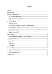 Verslo planas: spaustuvė IĮ "LauSpa"