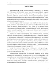 Verslo planas: spaustuvė IĮ "LauSpa" 2 puslapis