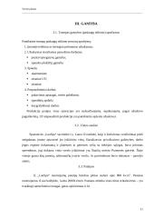 Verslo planas: spaustuvė IĮ "LauSpa" 11 puslapis