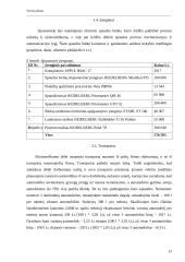 Verslo planas: spaustuvė IĮ "LauSpa" 13 puslapis