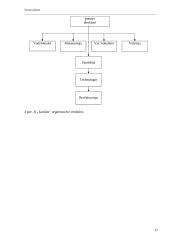 Verslo planas: spaustuvė IĮ "LauSpa" 17 puslapis