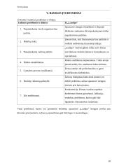 Verslo planas: spaustuvė IĮ "LauSpa" 18 puslapis