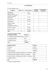 Verslo planas: spaustuvė IĮ "LauSpa" 19 puslapis