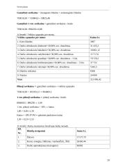 Verslo planas: spaustuvė IĮ "LauSpa" 20 puslapis