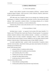 Verslo planas: spaustuvė IĮ "LauSpa" 3 puslapis