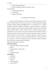 Verslo planas: spaustuvė IĮ "LauSpa" 4 puslapis