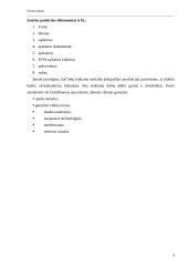 Verslo planas: spaustuvė IĮ "LauSpa" 5 puslapis