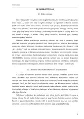 Verslo planas: spaustuvė IĮ "LauSpa" 6 puslapis