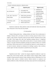 Verslo planas: spaustuvė IĮ "LauSpa" 9 puslapis