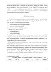 Verslo planas: spaustuvė IĮ "LauSpa" 10 puslapis