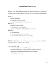 Verslo planas: statybos darbai UAB "Pinokis" 15 puslapis