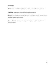 Verslo planas: statybos darbai UAB "Pinokis" 16 puslapis