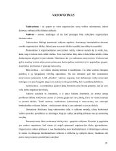 Verslo planas: statybos darbai UAB "Pinokis" 20 puslapis