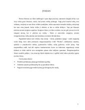 Verslo planas: statybos darbai UAB "Pinokis" 3 puslapis