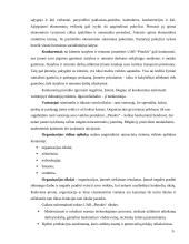 Verslo planas: statybos darbai UAB "Pinokis" 9 puslapis