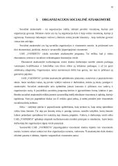 Verslo planas: sveikatingumo centras UAB "Vainerta" 18 puslapis