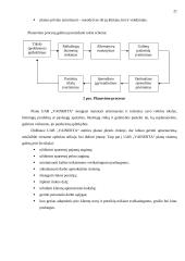 Verslo planas: sveikatingumo centras UAB "Vainerta" 20 puslapis