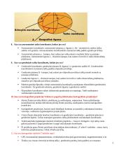 Geodezijos egzaminų klausimai ir atsakymai 3 puslapis