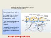 Ląstelių vidinės struktūros 5 puslapis